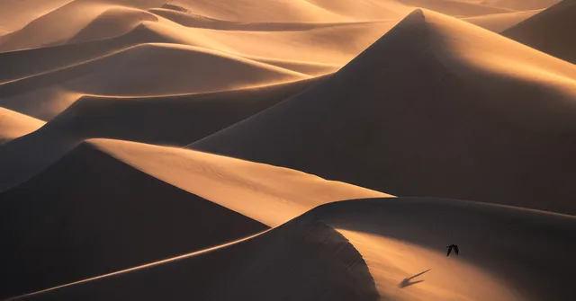How to Capture the Unique Details of Sand Dunes with a Telephoto Lens