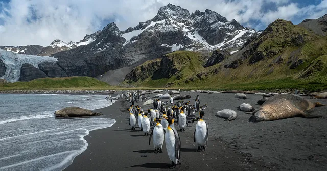 Photographing Antarctica: Penguins, Seals, and a Total Solar Eclipse