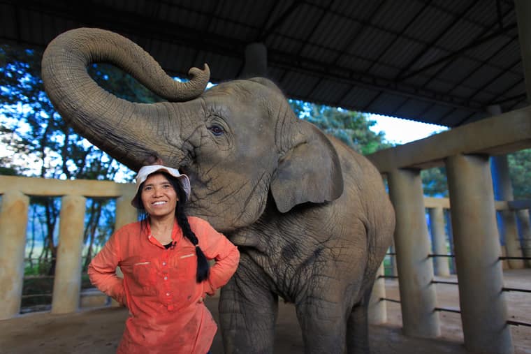 Elephant Nature Park And The Incredible Woman on a Mission to Save the Asian Elephant
