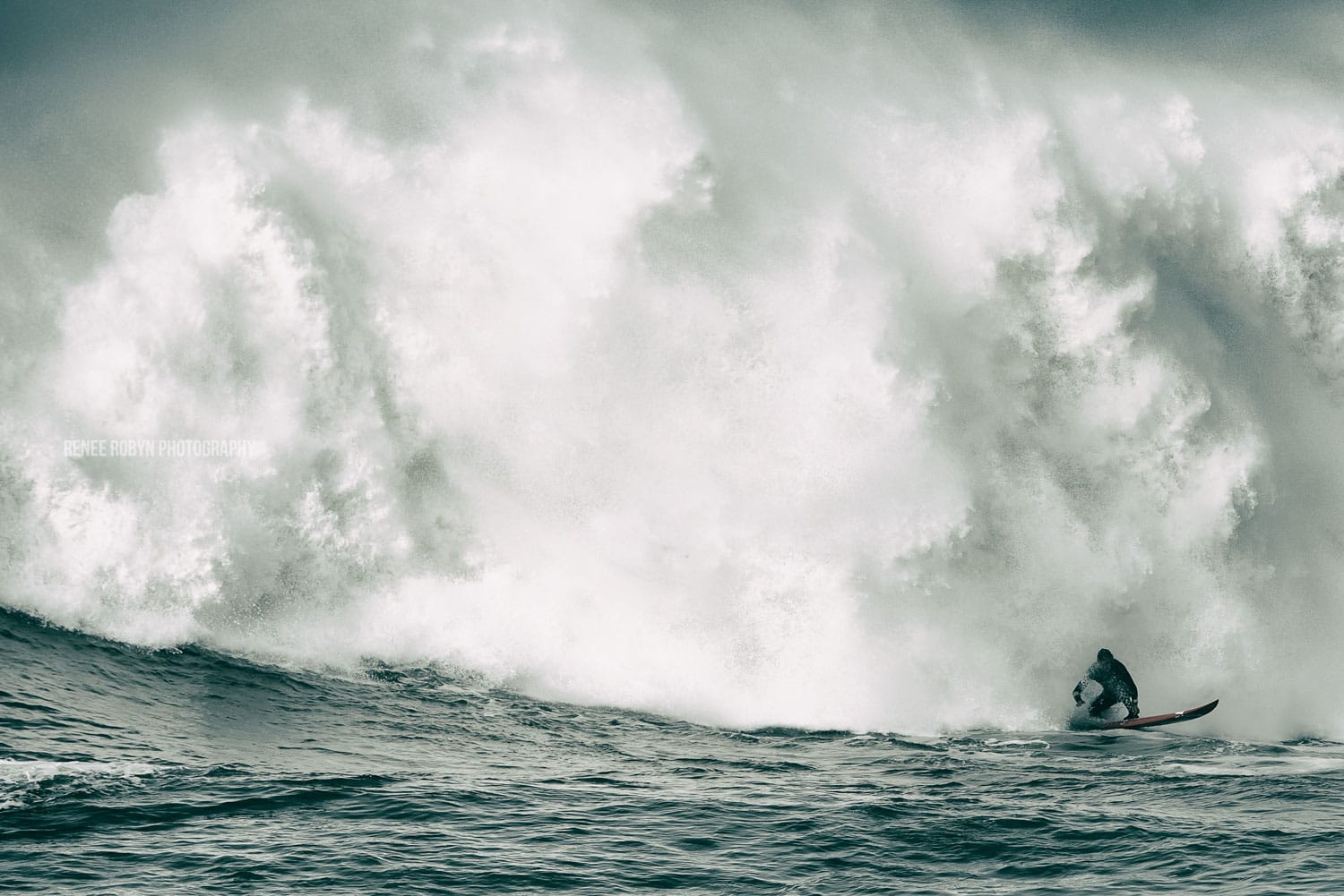 Mavericks Wave Renee Robyn 12