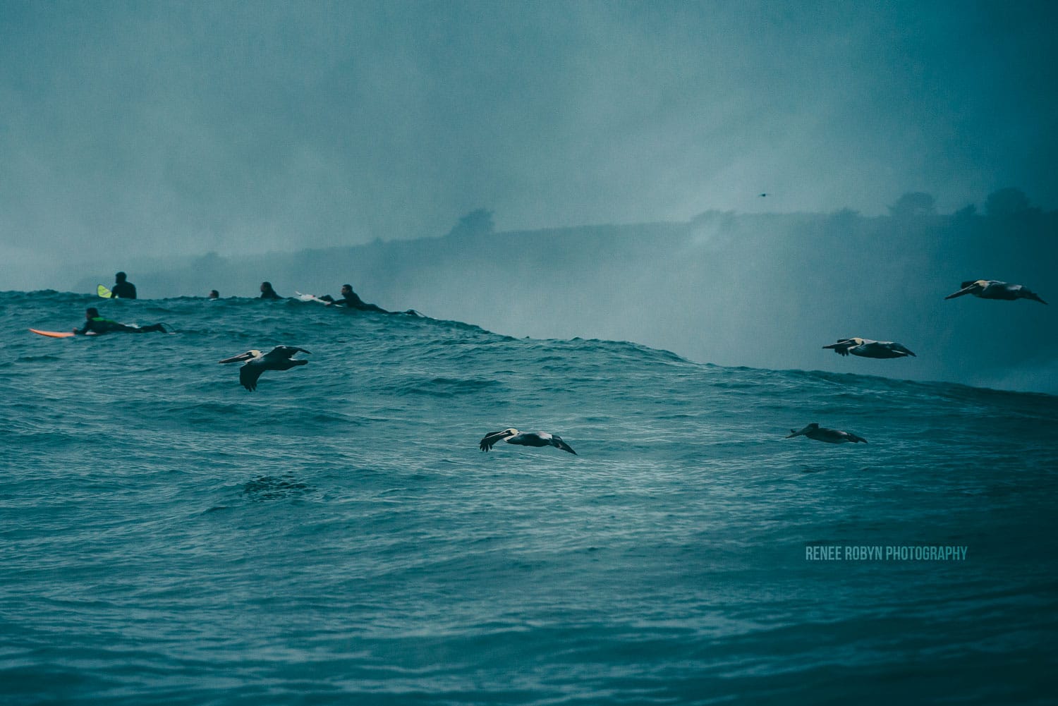 Mavericks Wave Renee Robyn 2