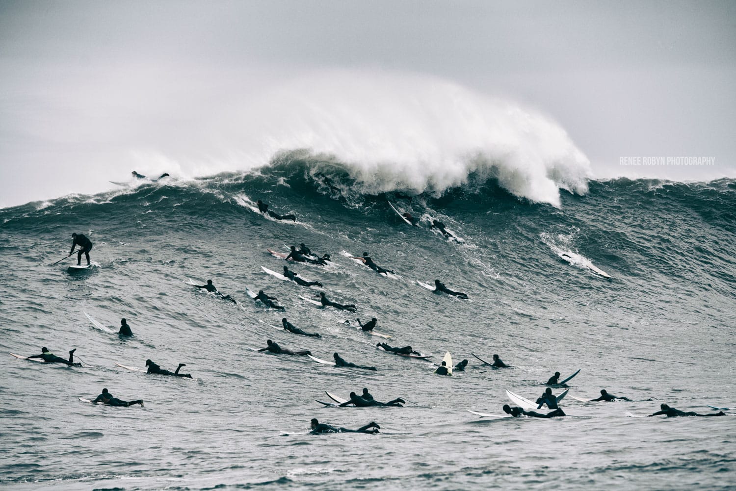 Mavericks Wave Renee Robyn 6