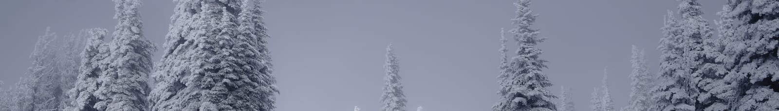 DSC09821-Edit-3840x2562