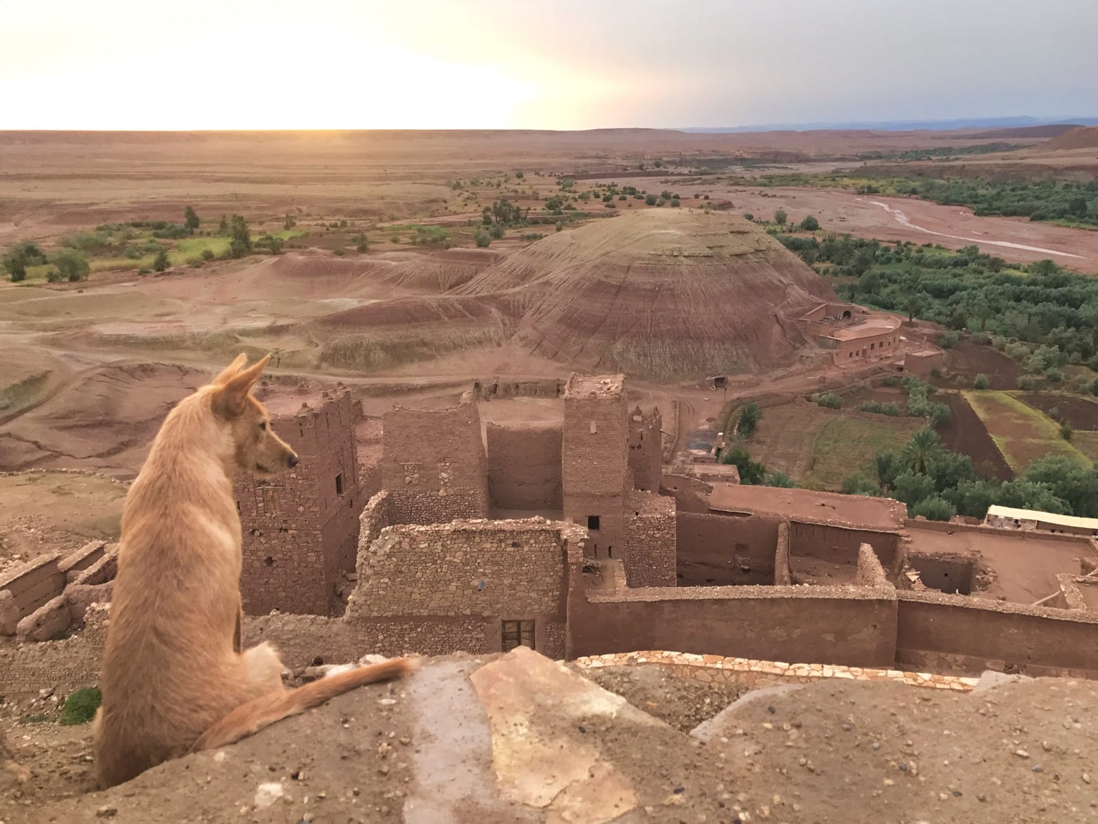 morocco-iphone-7-plus-michael-bonocore-12
