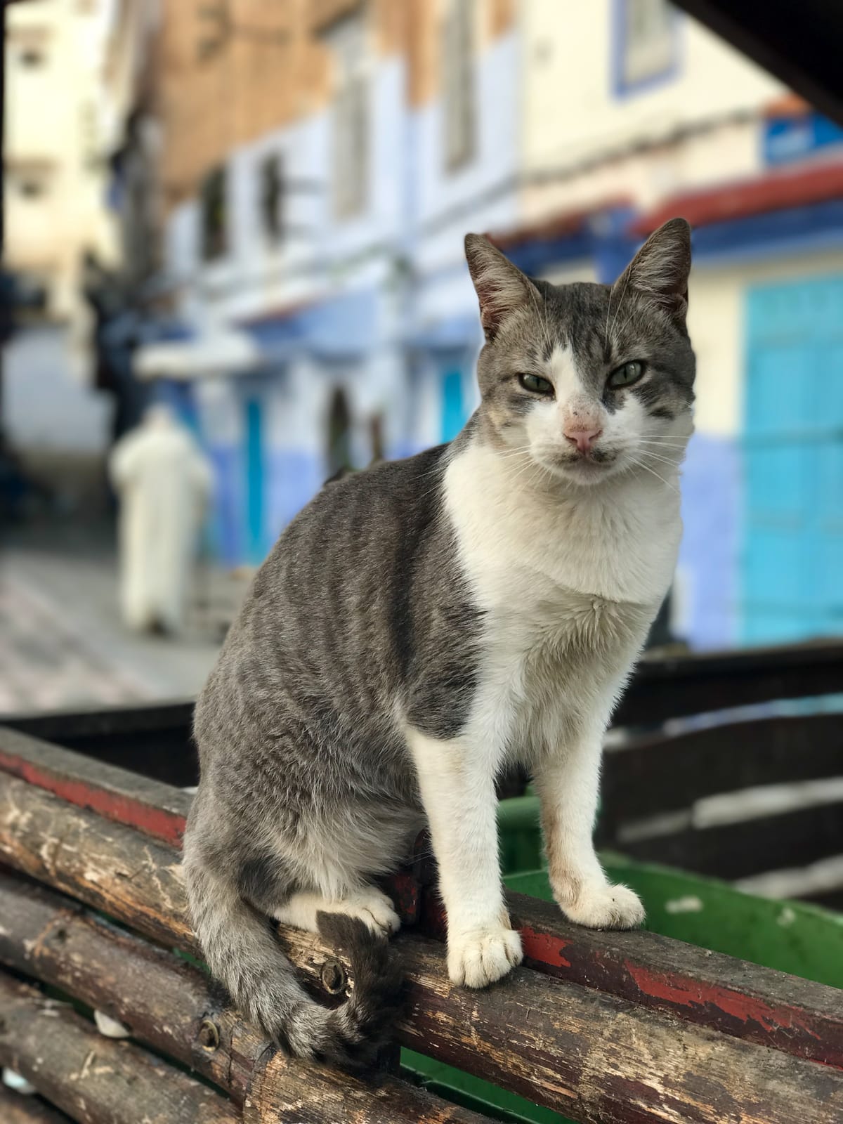 morocco-iphone-7-plus-michael-bonocore-69