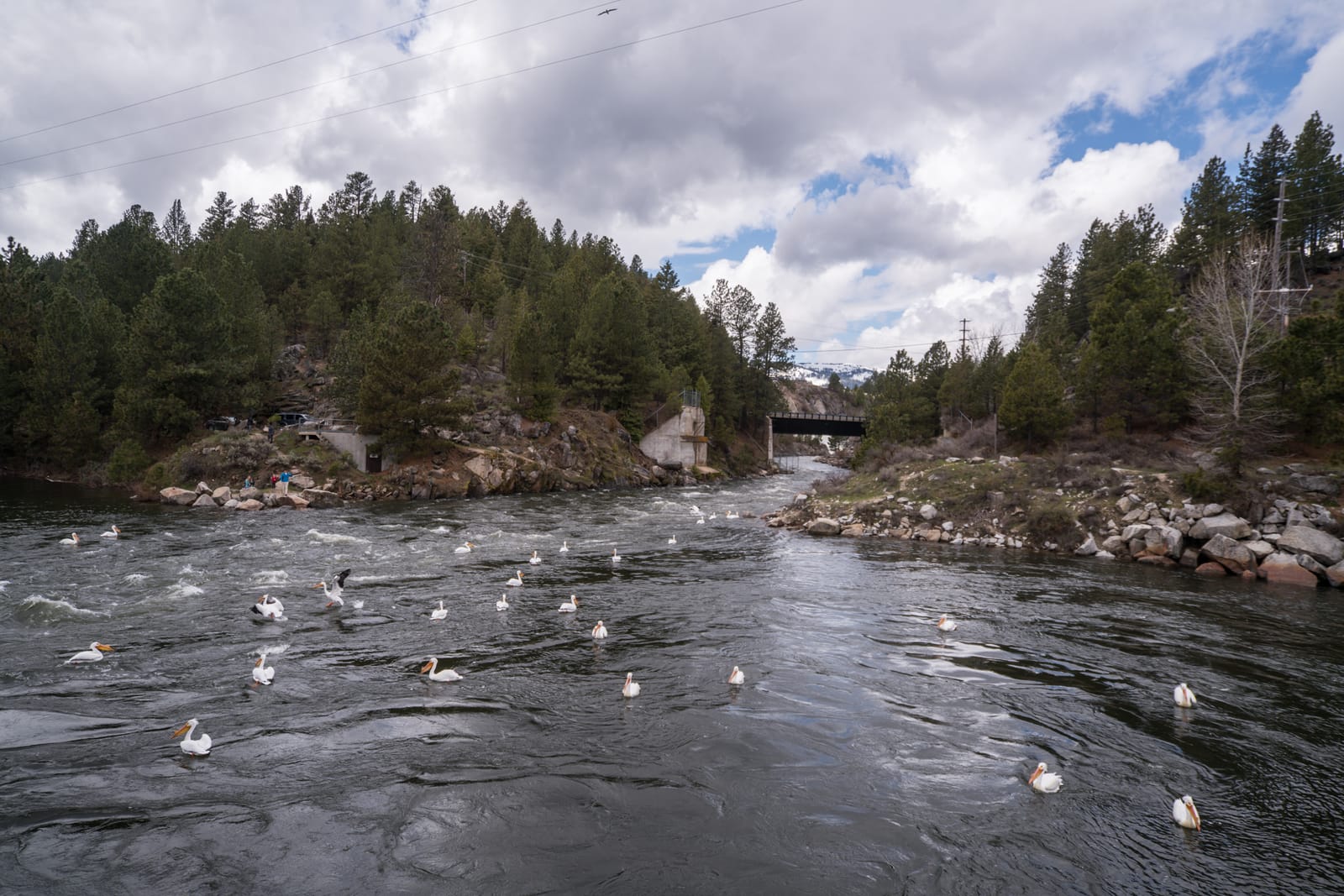 9 Must-See Destinations in Idaho During the Spring