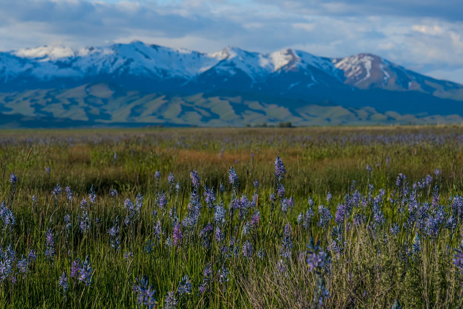 9 Must-See Destinations in Idaho During the Spring