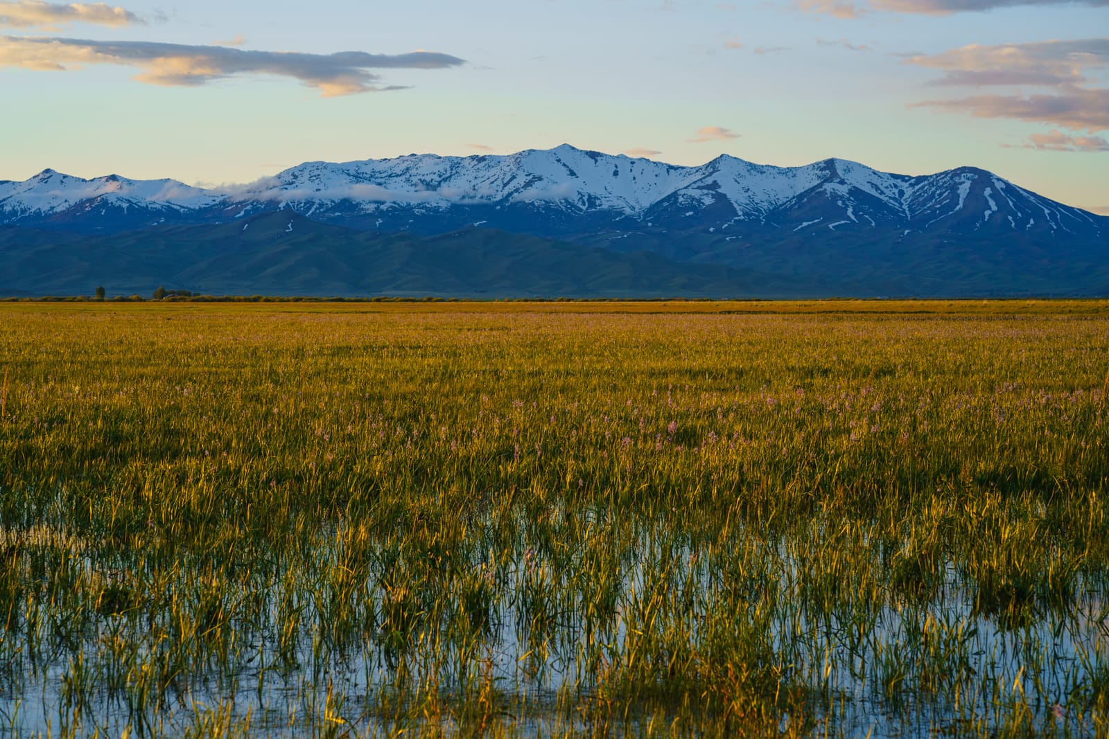 9 Must-See Destinations in Idaho During the Spring