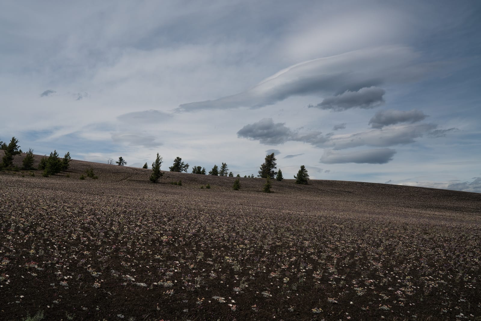 9 Must-See Destinations in Idaho During the Spring