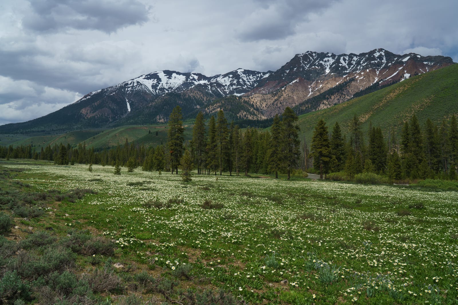 9 Must-See Destinations in Idaho During the Spring