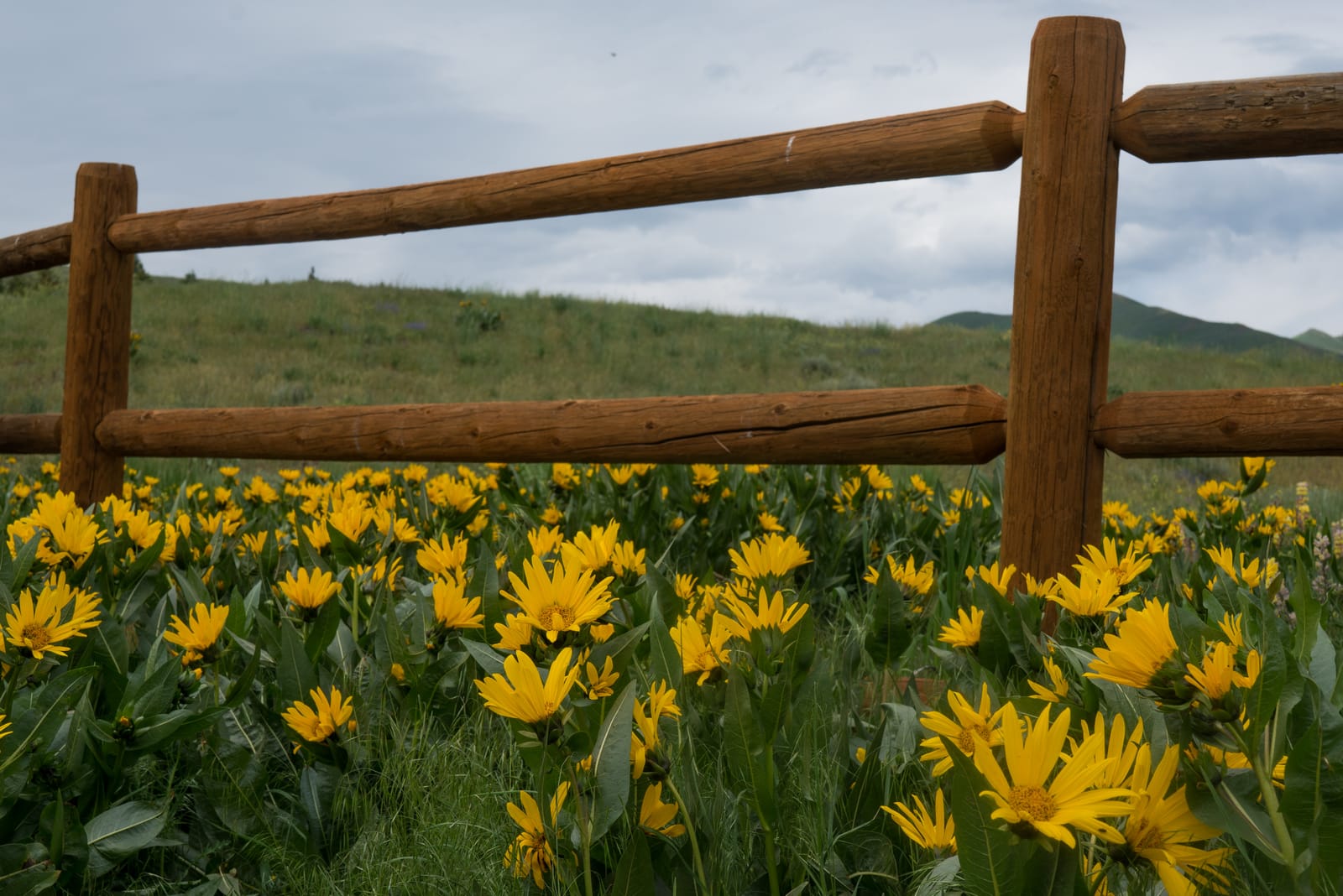 9 Must-See Destinations in Idaho During the Spring