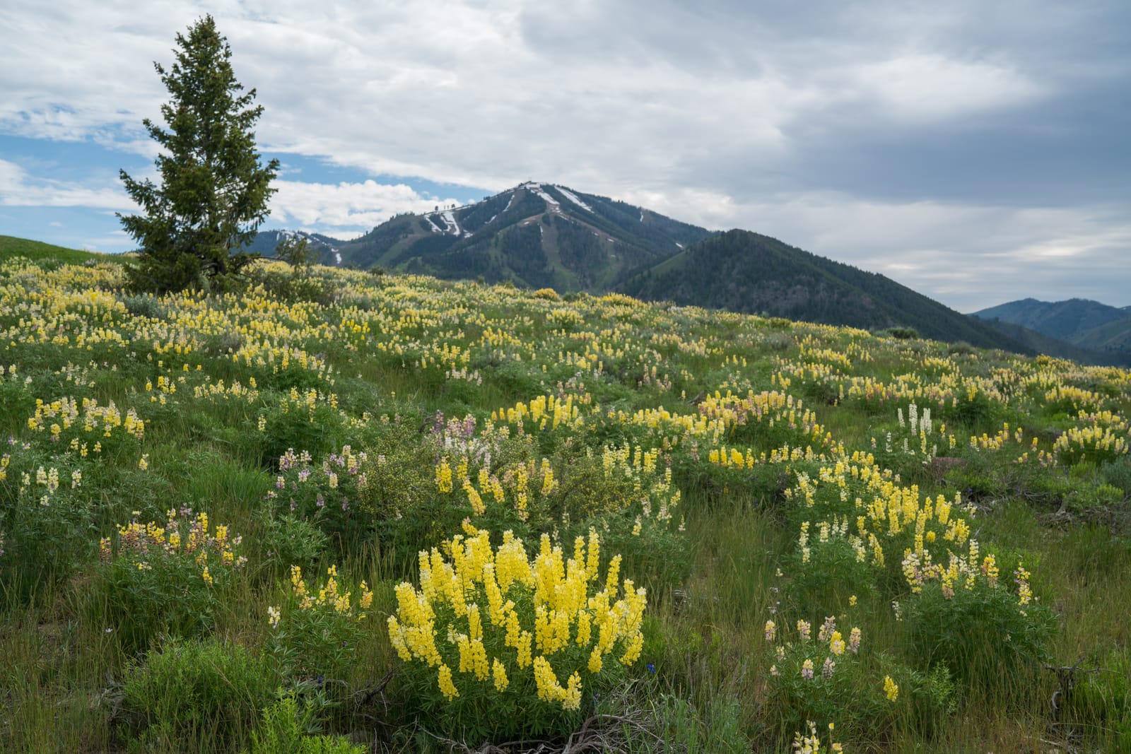 9 Must-See Destinations in Idaho During the Spring