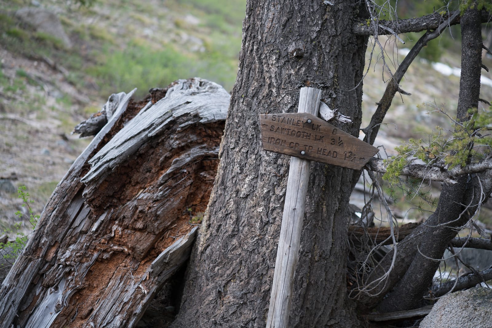 9 Must-See Destinations in Idaho During the Spring