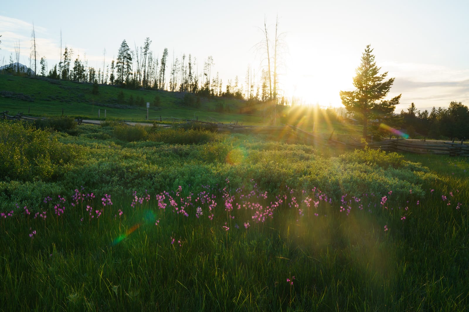 9 Must-See Destinations in Idaho During the Spring