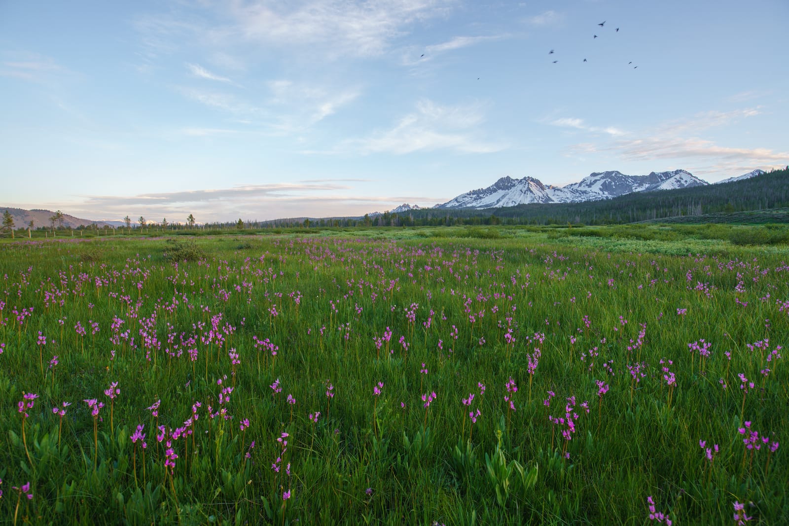 9 Must-See Destinations in Idaho During the Spring