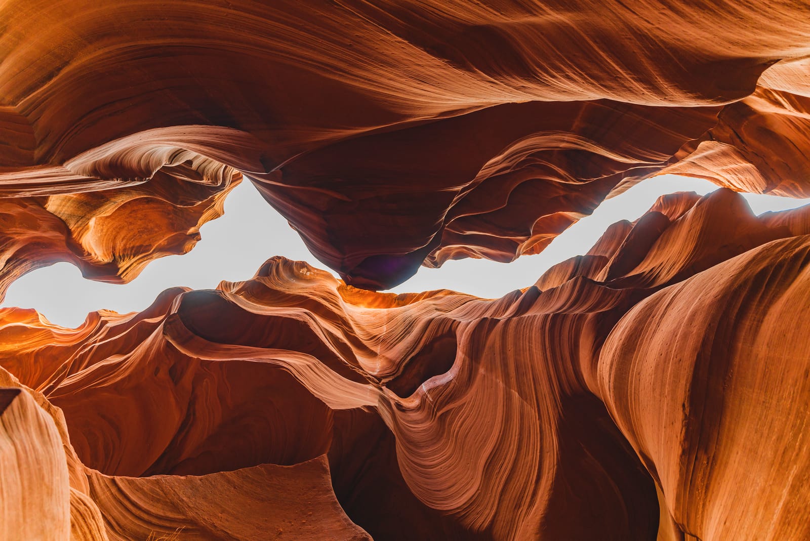 Meet the 16 Creatives in AdoramaTV’s ‘Through The Lens: Back In The USA’