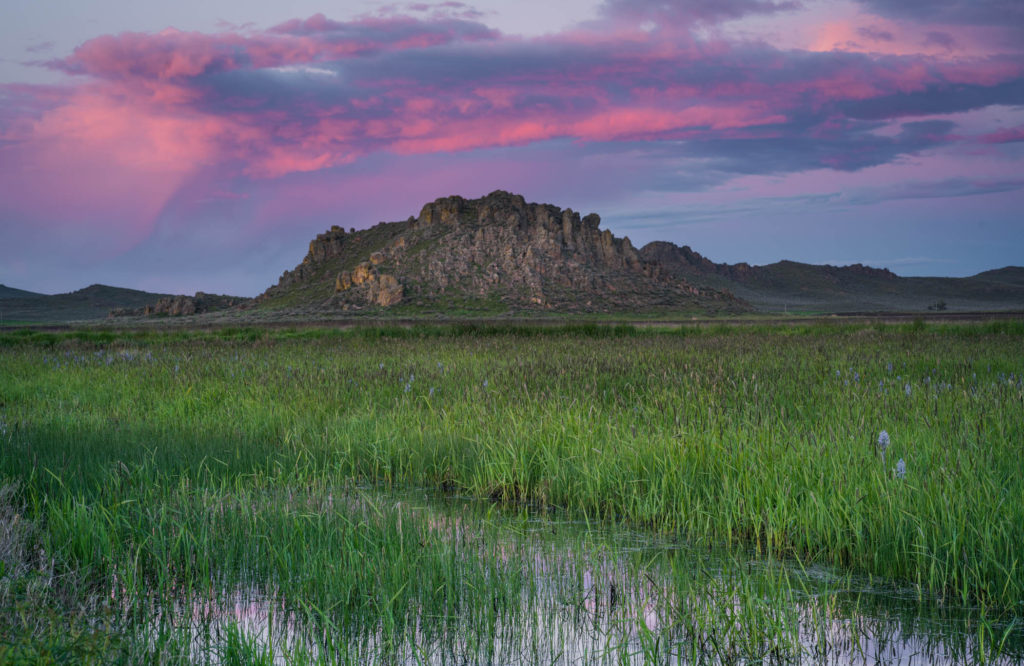 A Spring Sunset in Camas Prairie - Michael Bonocore